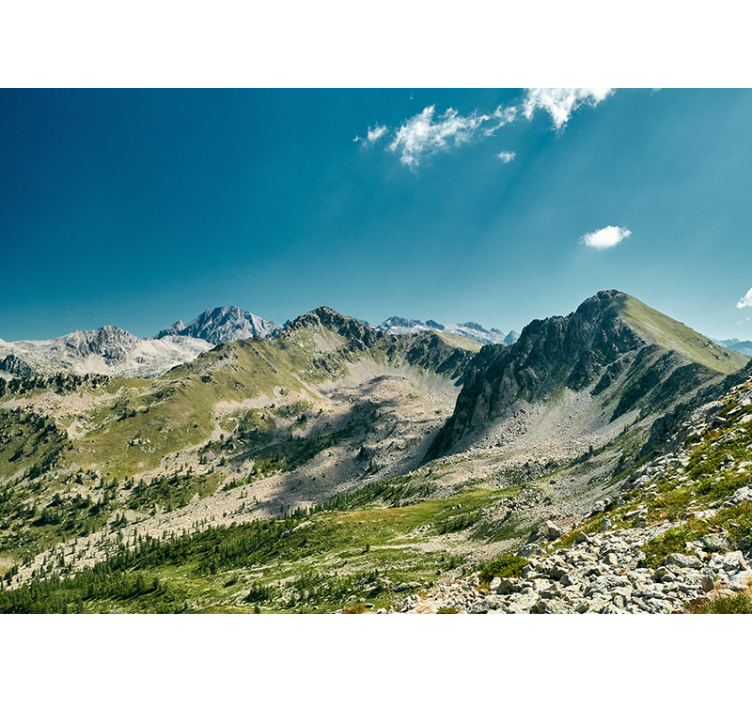 其他景观壁画大山脉壮丽景观 - TenStickers
