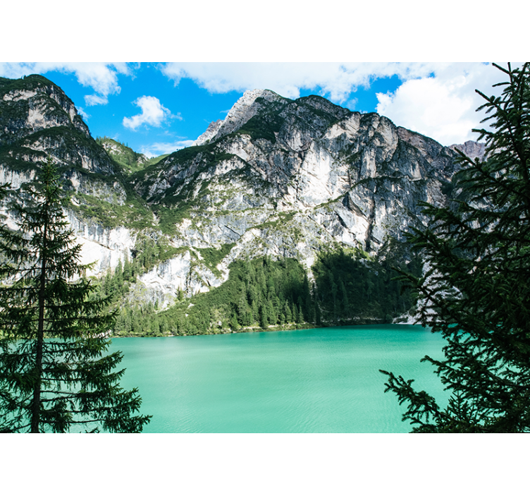 其他景观壁画大山全景 - TenStickers