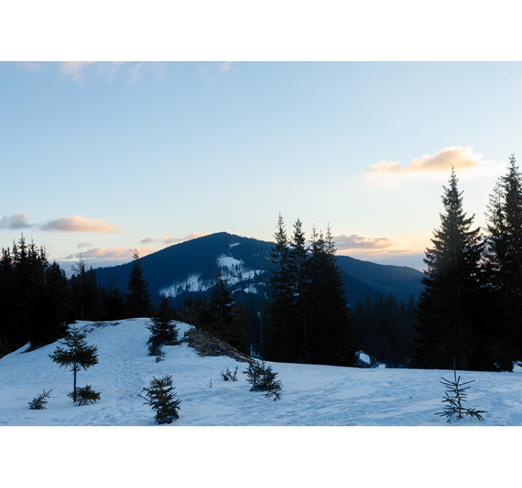 山地照片墙展现冰霜峰顶风景 - TenStickers