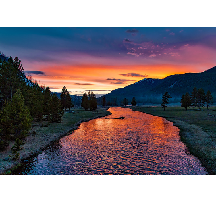 其他景观壁画夕阳河畔美景 - TenStickers
