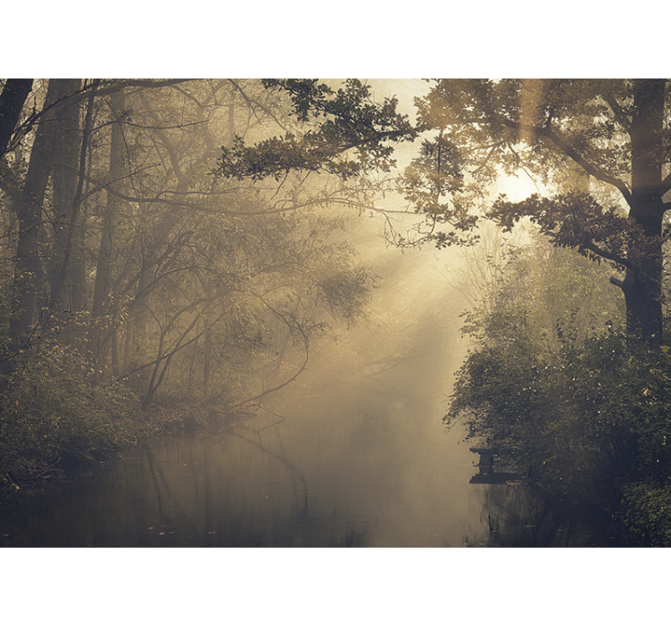 自然照片墙呈现迷人的森林景色 - TenStickers