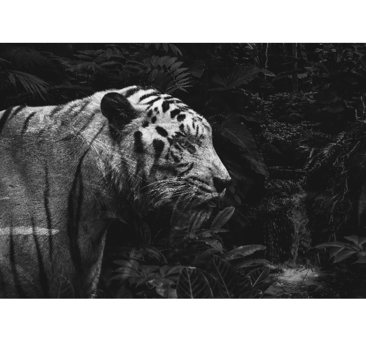 动物风格的墙面壁画壮丽白虎 - TenStickers