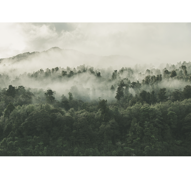 森林照片墙：上方雾气中的森林 - TenStickers