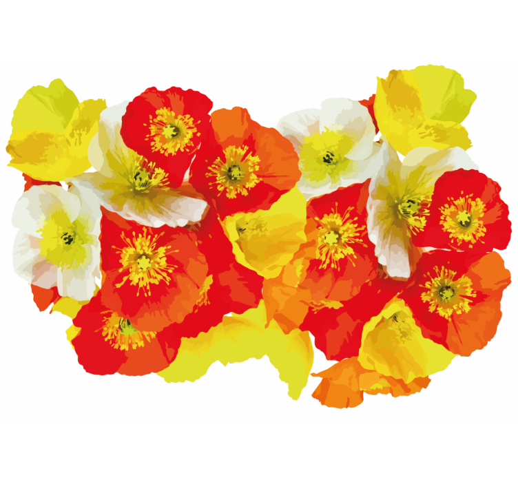 花卉照片墙罂粟花作品 - TenStickers