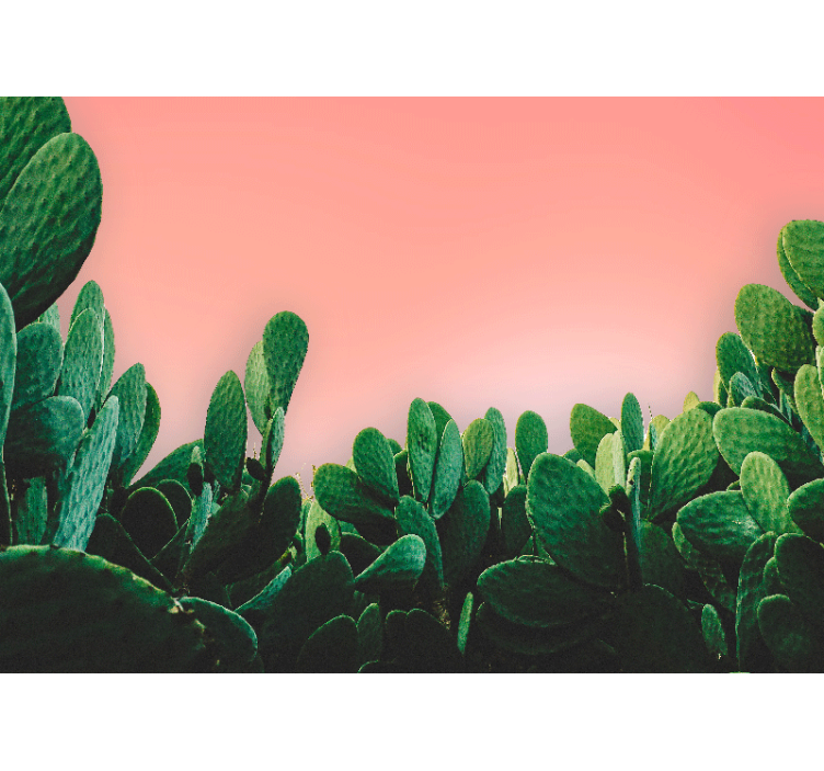自然照片墙展示仙人掌风景 - TenStickers