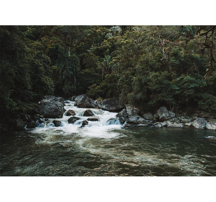 自然照片墙带来宁静河流场景 - TenStickers