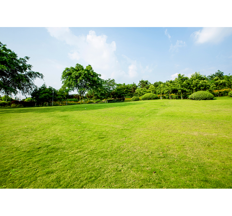 自然照片墙 翠绿的草地全景 - TenStickers