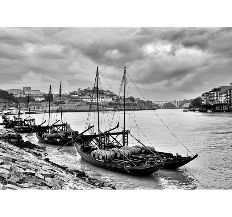 其他城市和国家的照片墙 波尔图灰度 - TenStickers