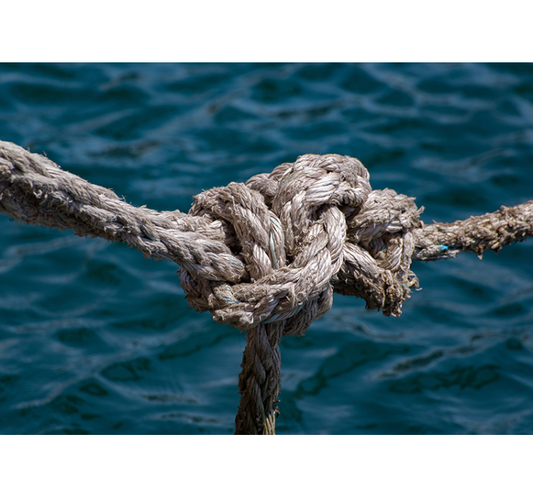 景观墙壁画绳海 - TenStickers