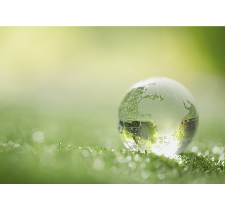 自然照片墙草地上的地球仪 - TenStickers