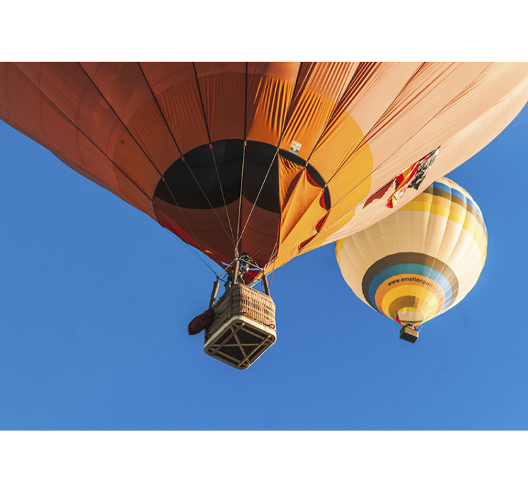 Ponte sor ballonns天空墙壁画 - TenStickers