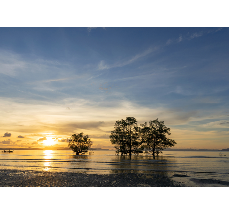 其他景观壁画静谧的日落 - TenStickers