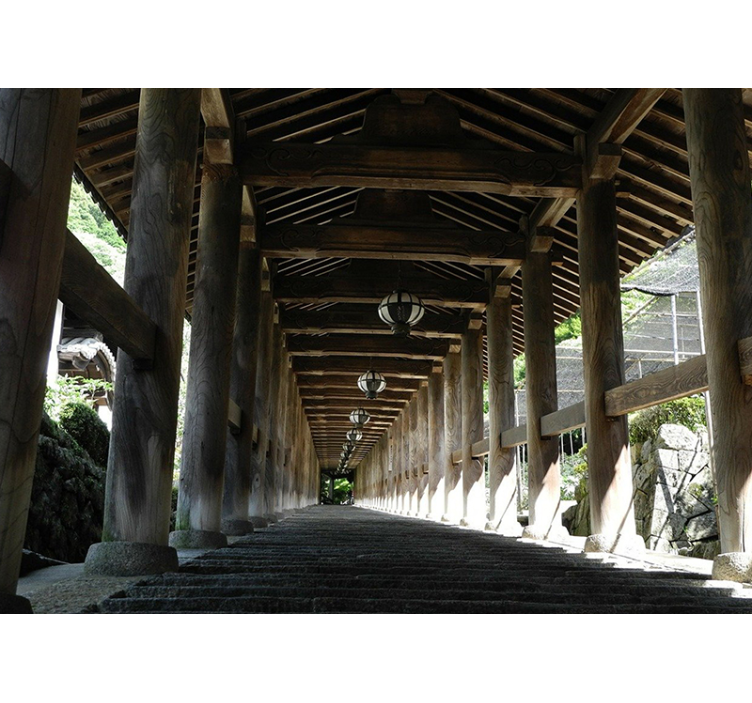 森林照片墙带您领略木栈道美景 - TenStickers