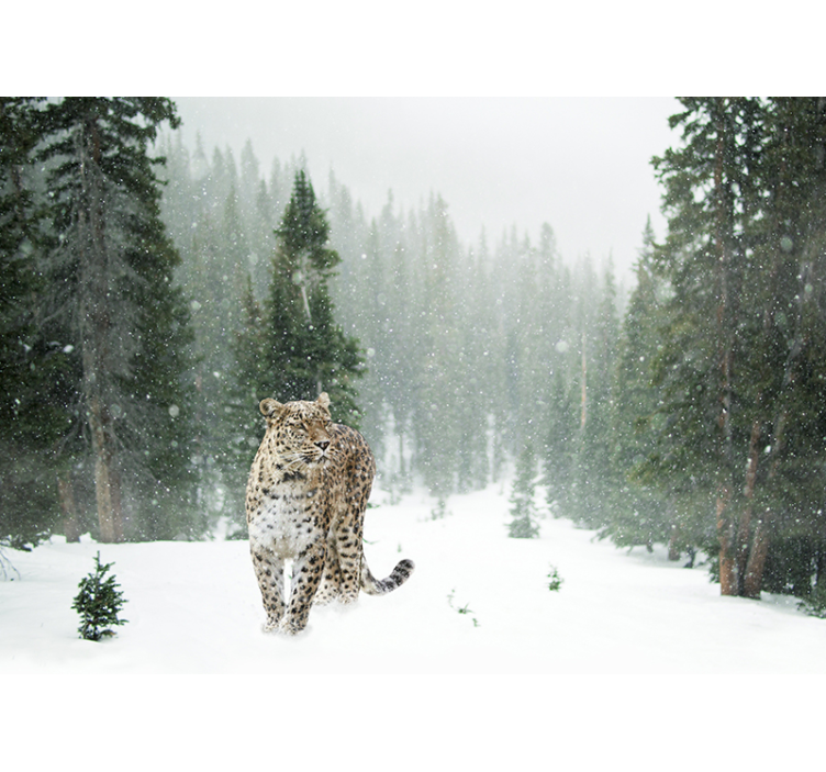 动物风格的墙面壁画雪豹漫步 - TenStickers