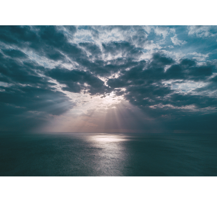 自然照片墙 海洋射线 - TenStickers