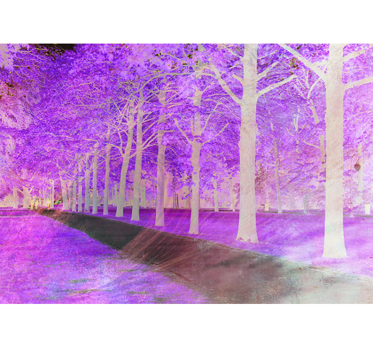 自然照片墙呈现郁郁葱葱的小径 - TenStickers