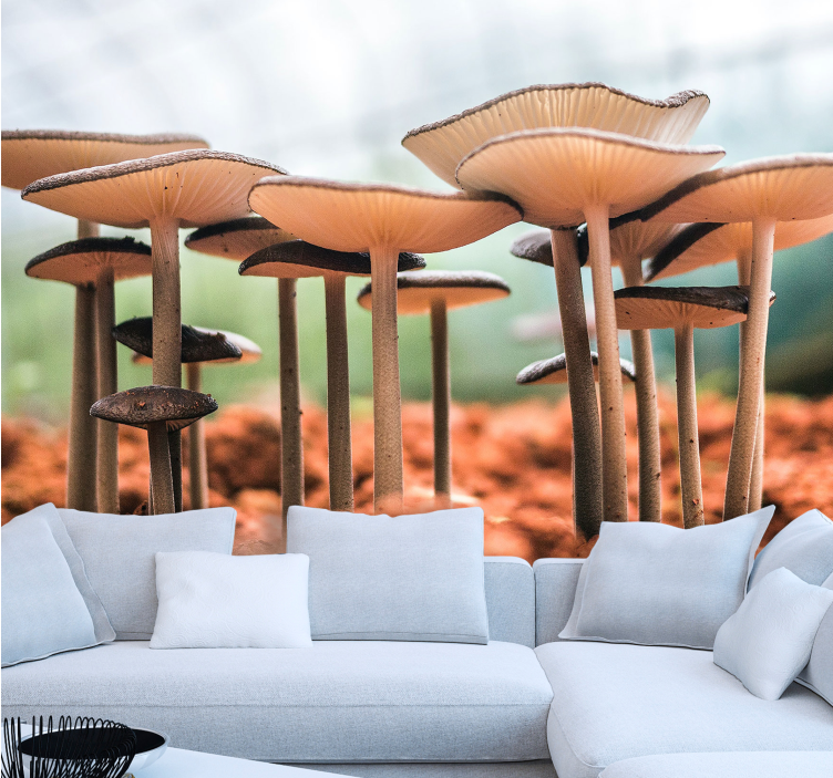 其他墙体壁画蘑菇丛生场景 - TenStickers