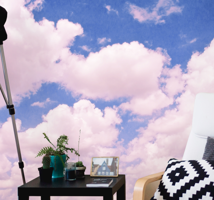 来自天空的照片墙，蓬松粉色云朵 - TenStickers