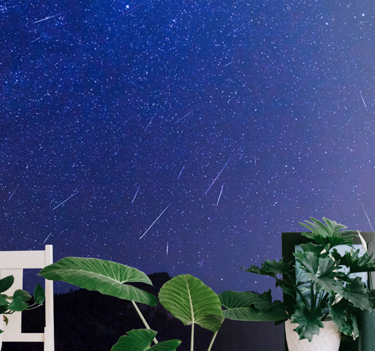 山地照片墙呈现星际彗星之夜 - TenStickers