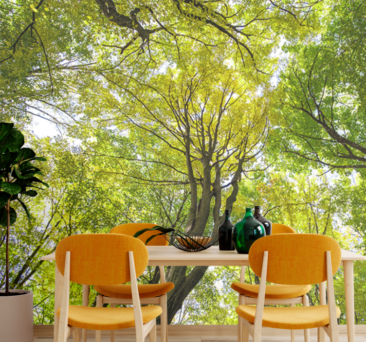 自然照片墙生机盎然的森林树冠 - TenStickers