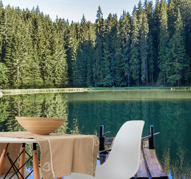 自然照片墙静谧森林倒影 - TenStickers