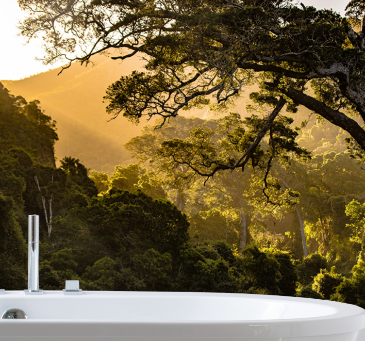 自然照片墙青翠林间风光 - TenStickers