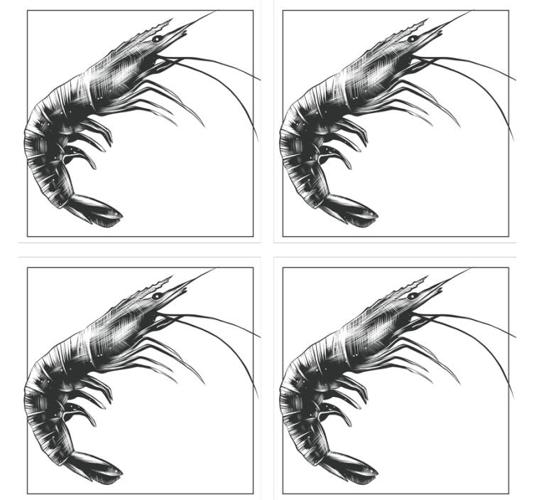 杯垫现代设计虾形插画 - TenStickers
