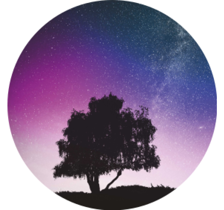 杯垫现代设计星空之夜树 - TenStickers