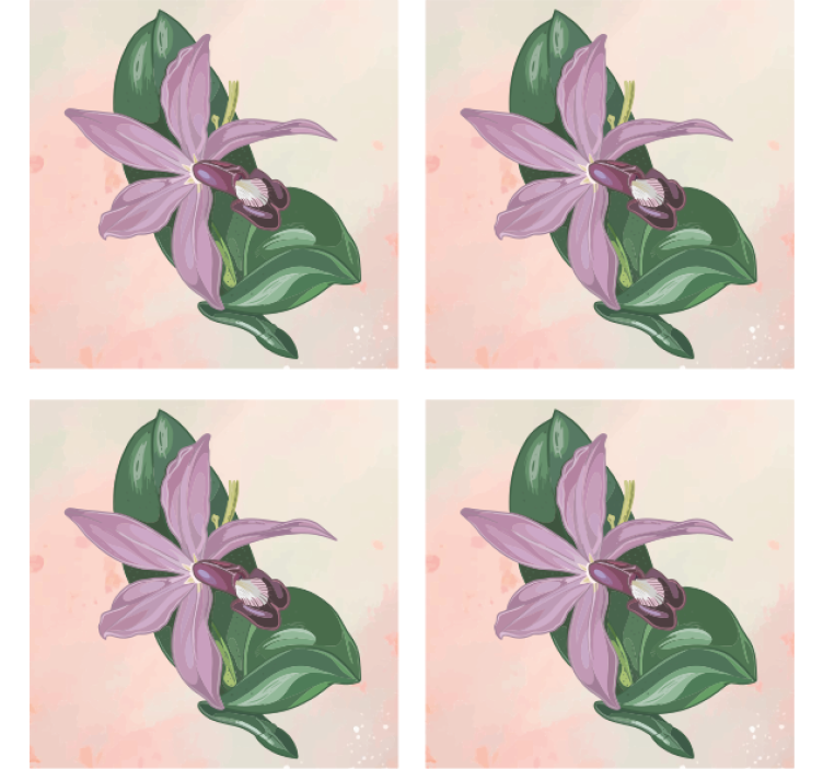 杯垫现代设计优雅兰花盛开 - TenStickers