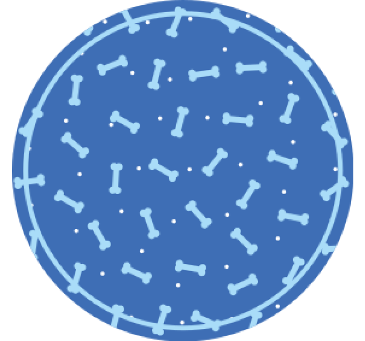 杯垫纹理骨头图案圆形 - TenStickers