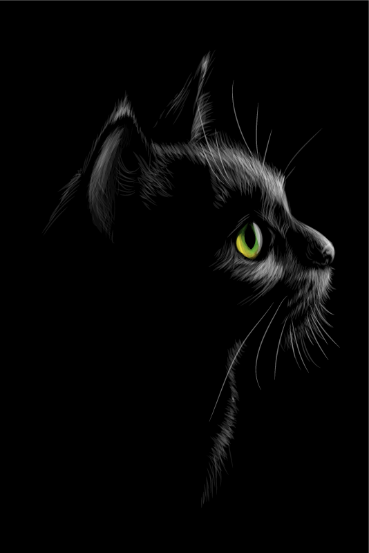 客厅海报绿色眼睛的猫咪 - TenStickers