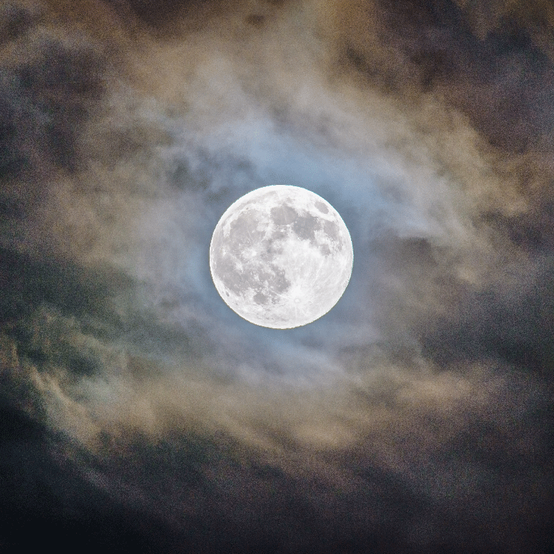 客厅海报展现满月之夜的宁静美感 - TenStickers