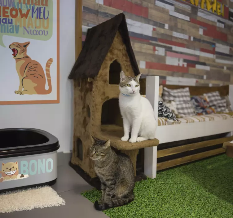 狗和猫的贴纸 猫砂盆 - TenStickers