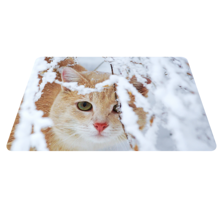 乙烯基地毯动物：钟乳石猫咪 - TenStickers