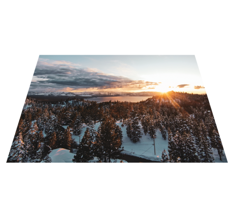 乙烯基地毯特性展现郁郁葱葱的森林景观 - TenStickers
