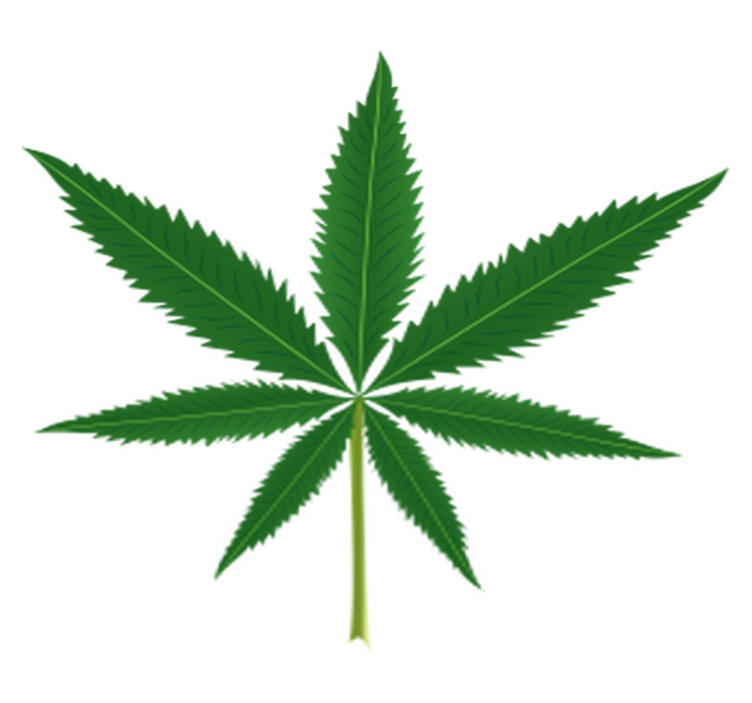 乙烯基花草地毯大麻叶图案设计 - TenStickers