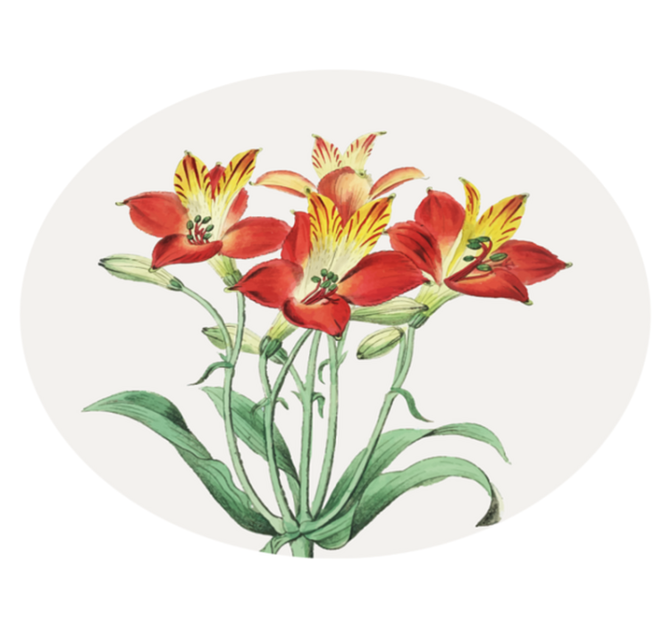 乙烯基花草地毯生机勃勃的红色花朵 - TenStickers