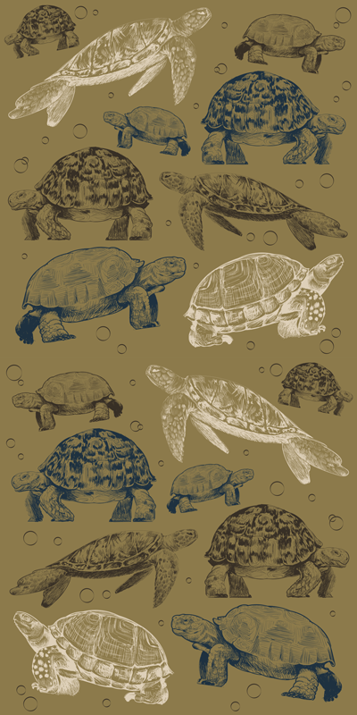 乙烯基地毯动物米色背景海龟 - TenStickers