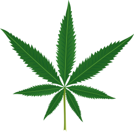 乙烯基花草地毯大麻叶图案设计 - TenStickers