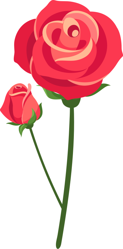 卧室乙烯基地毯呈现3d玫瑰设计 - TenStickers