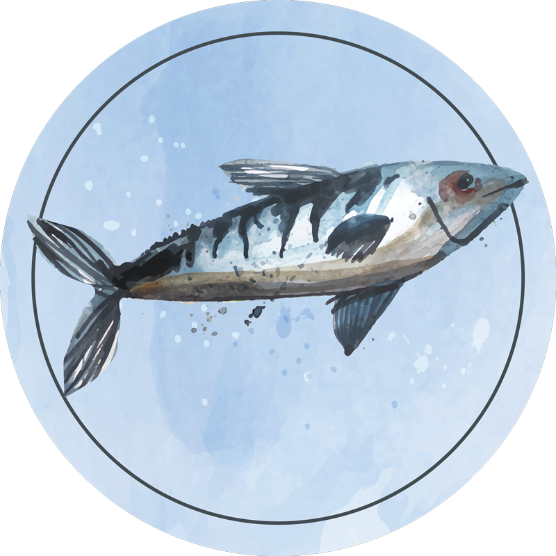 乙烯基地毯动物 水上探索 - TenStickers