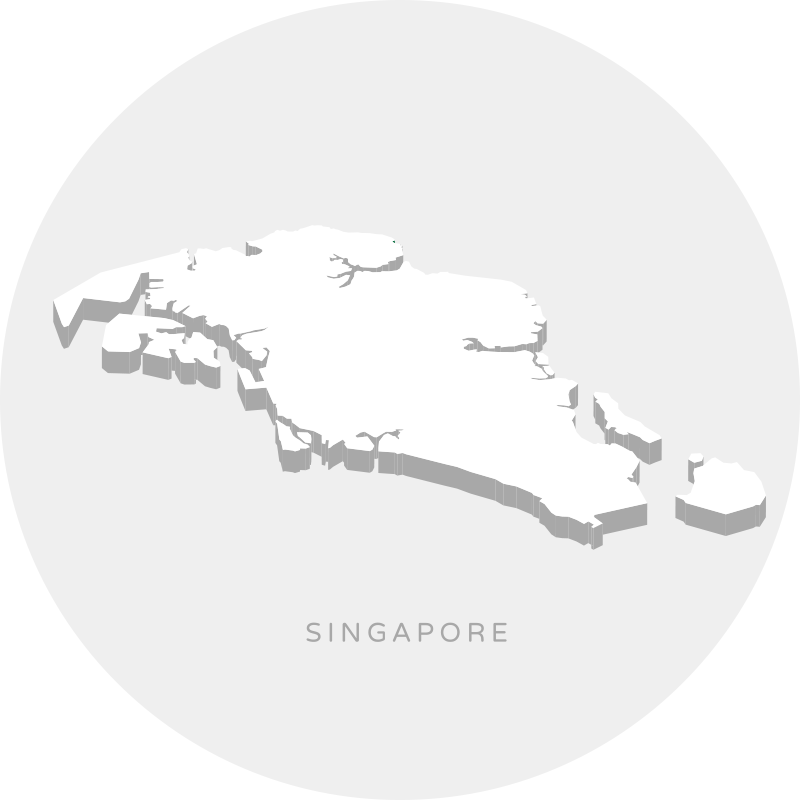 新加坡城市地图乙烯地毯 - TenStickers