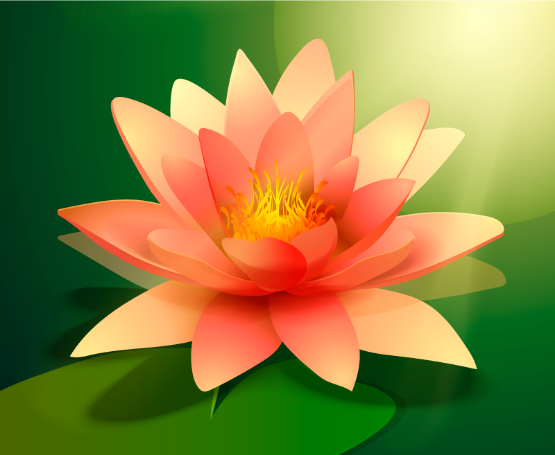 乙烯基花草地毯 盛开的莲花 - TenStickers