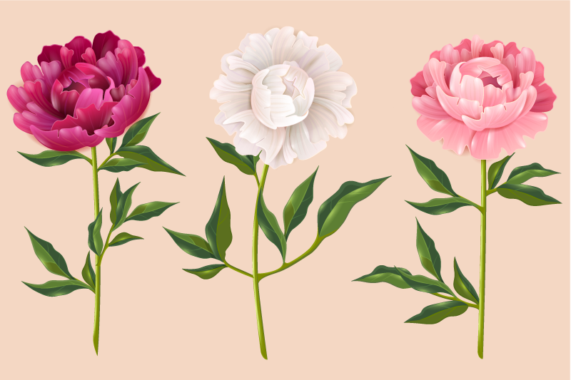 乙烯基地毯浴室优雅三件套排列 - TenStickers