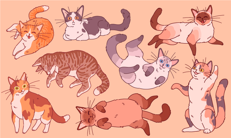 乙烯基地毯动物猫咪艺术作品 - TenStickers
