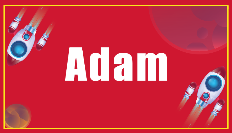 乙烯基地毯定制名称火箭 - TenStickers