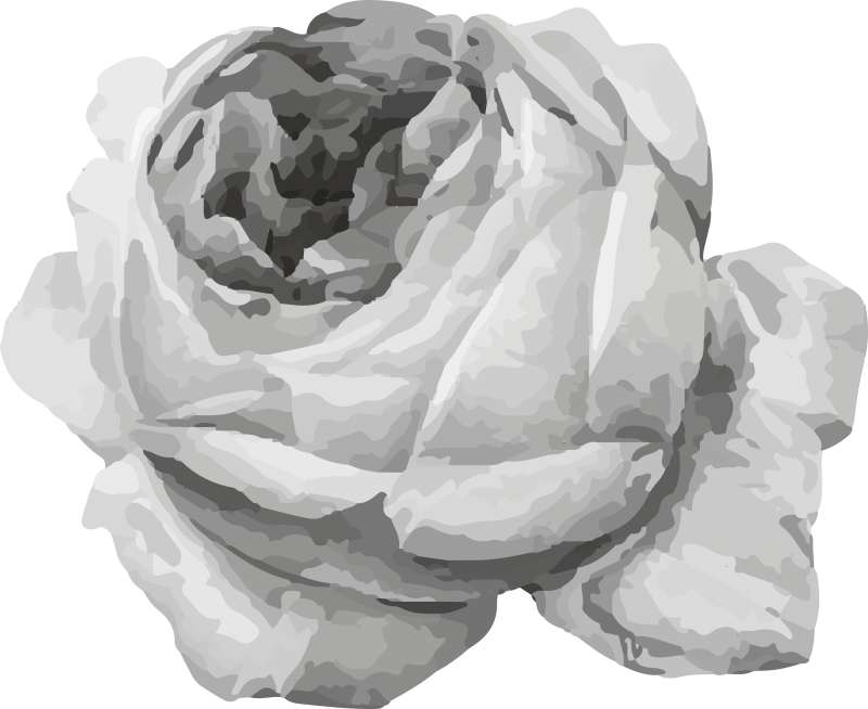 乙烯基花草地毯玫瑰花绽放 - TenStickers