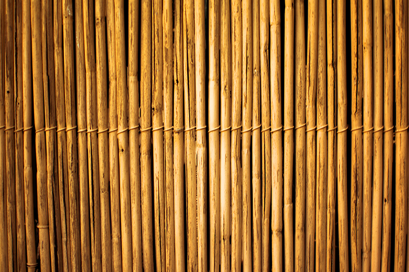 乙烯基地毯呈现竹纹效果 - TenStickers