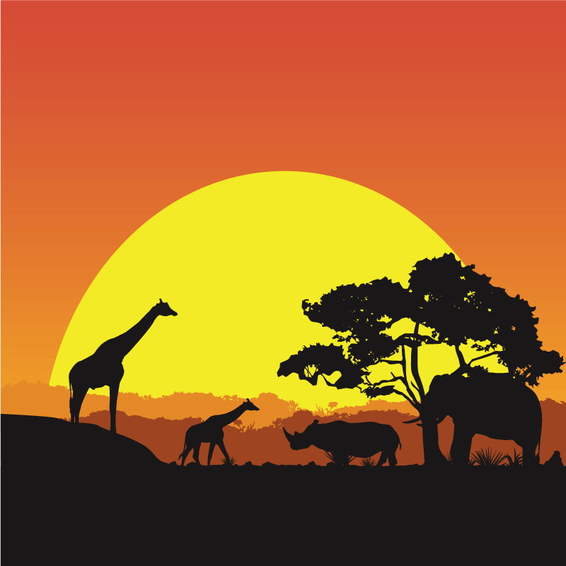 乙烯基地毯动物日落野生动物场景 - TenStickers