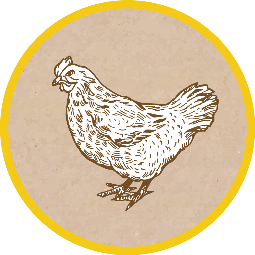 乙烯基地毯动物鸡的插图 - TenStickers